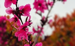 撸啊撸在线影院